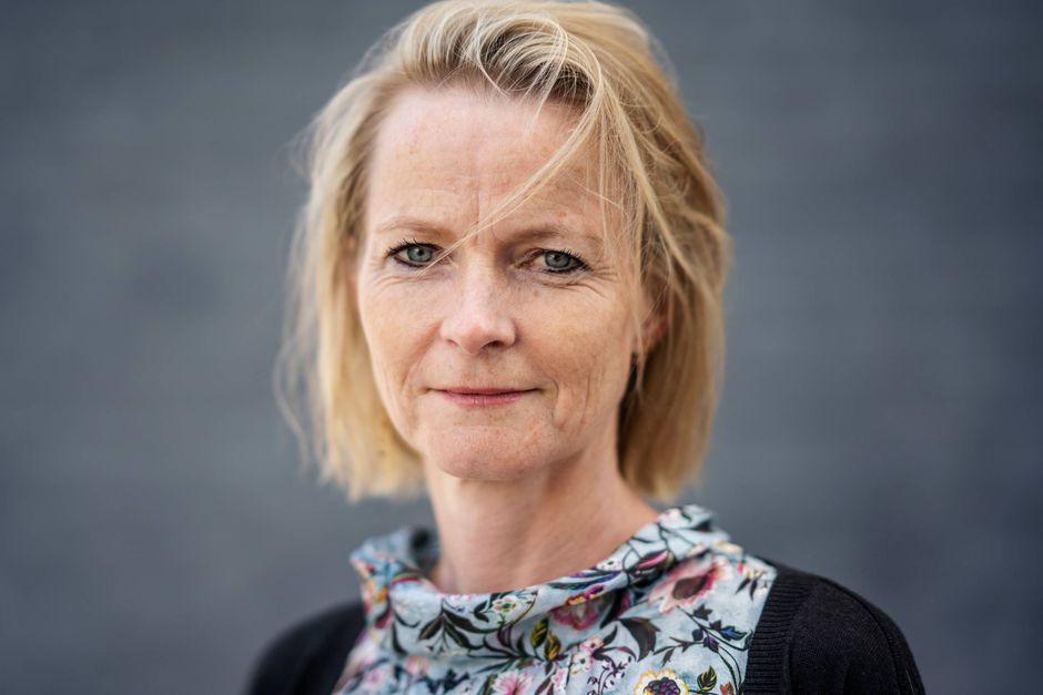 Artiklens øverste billede