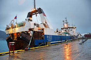 Mens verden er i chok og fordømmer Ruslands angreb på Ukraine, findes der også steder i Vesten, hvor man forsøger at hjælpe nødstedte russere.