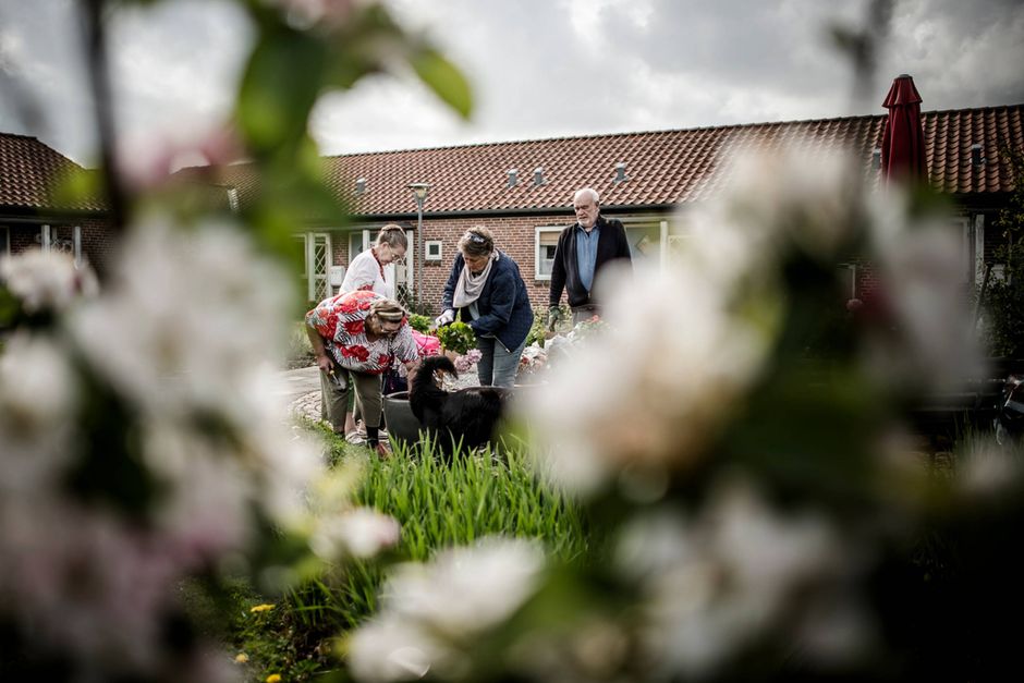 Artiklens øverste billede