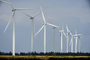 To EU-domme slår fast, at danske vindmølleregler er ulovlige, vurderer førende jurister. Alligevel godkendes vindmølleprojekter fortsat, som om intet er sket.