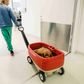 Alfred (en fem måneder Dogue de Bordeaux) er lige blevet scannet under fuld bedøvelse og skal tilbage til sin far og mor. på Københavns universitetshospital for Familiedyr. Foto: Stine Bidstrup.