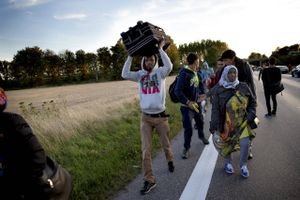 Flygtninge/migranter-Rødby/Lolland. Ca. 25 km nord for Rødby forlader gruppen af flygtninge/migranter motorvejen og begynder at gå af landevejen hvor de går gennem Våbensted. De vil gerne til Sverige, men kender ikke vejen. Langs vejen dukker mange private personer op og deler mad, vand, frugt og slik ud. De lokale beboere får også en på opleveren, nu hvor Europas "Flygtningekrise" passere deres gadedør.