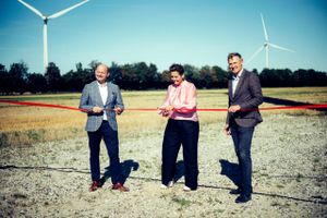 Energiudvikleren Eurowind Energys nye grønne projekt til omkring 4 mia. kr., der ville kunne forsyne 120.000 husstande med strøm, står til at blive afblæst efter politisk modstand anført af Randers' borgmester, Rosa Lykke Yde.