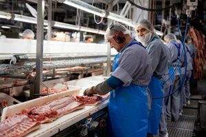 Tre af Danish Crowns slagterier optræder på en liste over såkaldte ikke-beskyttede kunder, der risikerer at stå for skud. Arkivfoto: Finn Frandsen