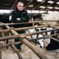 Bart Pelgröm blev kåret som Årets Unge Landmand i 2015. Siden har han arbejdet 17 timer i døgnet. Nu er er han gået konkurs. Foto: Lene Esthave