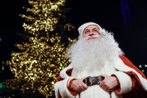 Fredag den 19 november tænder julemanden Tivolis store juletræ og haven håber på, at julen vil være med til at øge både omsætning og overskud. Sidste år blev julen aflyst i Tivoli på grund af coronakrisen. Foto: Tivoli.