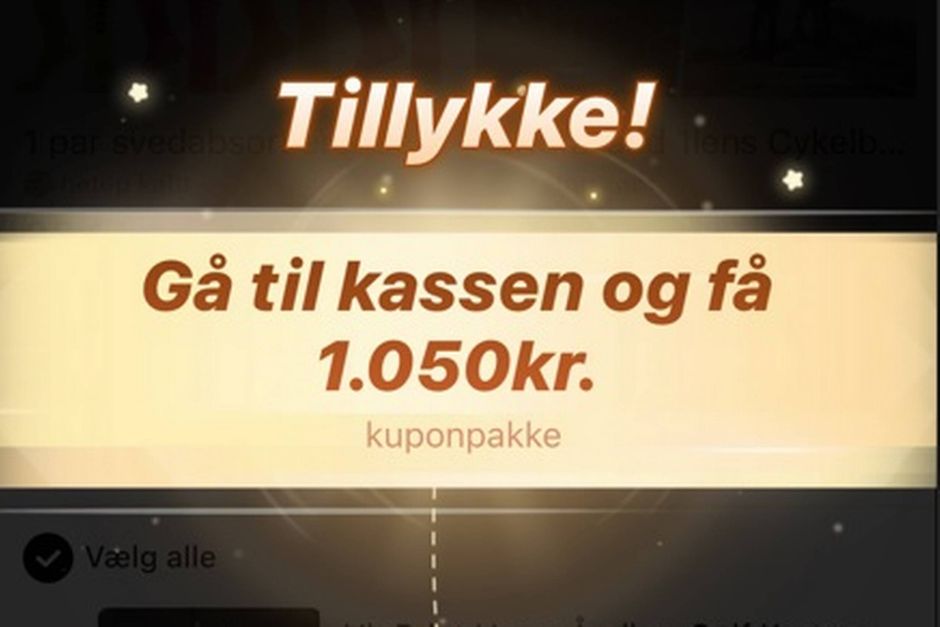 To professorer og en jurist har kigget nærmere på Temus metoder til at lokke dig. Spørgsmålet er, om det fremadstormende shoppingfænomen gør noget ulovligt. Jyllands-Posten lavede en lille test og fik en overraskelse.
