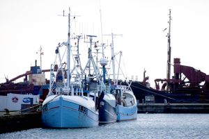Fiskeriforhandlingerne mellem EU og Storbritannien trækker ud. Det efterlader igen de danske fiskere i uvished om, hvor mange fisk, de må fange i Nordsøen.
