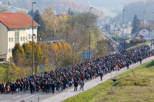 Flygtninge og migranter eskorteres af slovensk politi frem mod Sentilj på grænsen til Østrig. Efter terrorangrebene i Paris er der kommet øget fokus på muligheden for identitetskontrol af de personer, der krydser EU’s grænser. Foto: Gyorgy Varga/AP