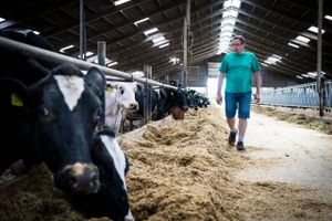 Landmand Jørn Kjær Madsen har det seneste år leveret 34 mio. kilo mælk til Arla. Det har været en fantastisk forretning, da mælkepriserne har været højere end nogensinde før. 