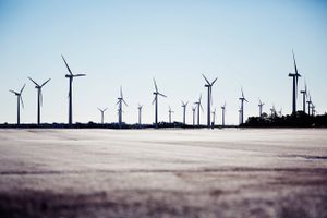 Femern-ledelsen nedlagde en vindmøllepark i 2015 for at gøre plads til en beton-elementfabrik. I dag er fabrikken endnu ikke bygget.
