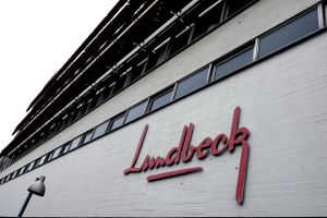 Ulf Wiinbergs pludselige fratrædelse som topchef i Lundbeck skaber usikkerhed, men vil næppe ændre strategien på den lange bane.