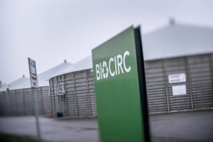 Den amerikanske it-gigant køber en stor portion klimakreditter af danske Biocirc over de næste syv år. 