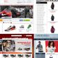 De 423 fupbutikker, som Bagmandspolitiet har beslaglagt, er alle .dk-domæner, som har lokket forbrugere med discountpriser på f.eks. Nike-sko, solbriller fra Ray-Ban eller dunjakker fra Canada Goose.
