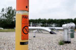 Foto: Finn Frandsen