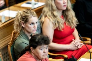 En sætning i et debatindlæg i dagens udgave af Information har fået Enhedslistens Pernille Skipper helt op i det røde felt. 