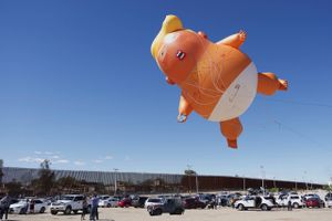 Baby Trump-ballon. Foto: Sandy Huffaker/Rreuters
